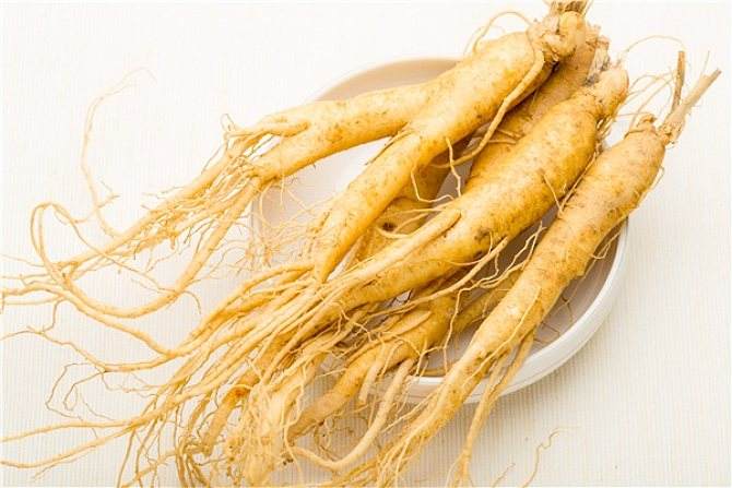 Ginseng Ginseng