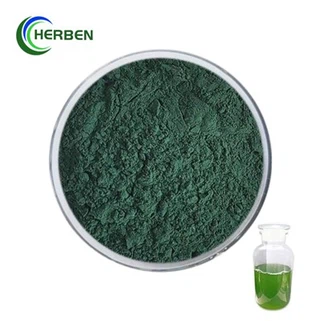 Nannochloropsis Powder